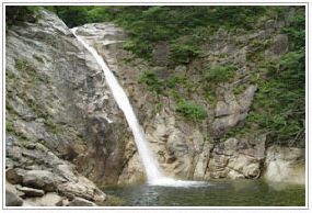 비 룡 폭 포