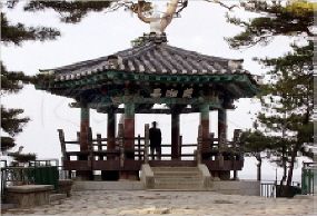 의 상 대