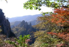 추 경