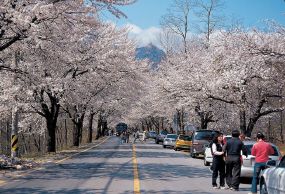 설악산 입구